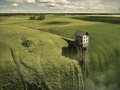 greenfall-duofox