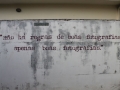 duofox-mostra-de-arte-faat-foto